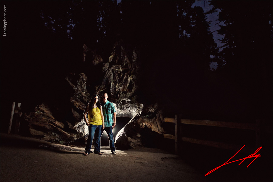 sequoia national park engagement picture