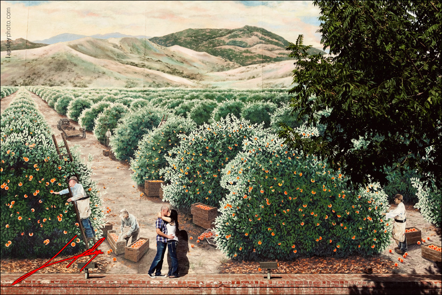 visalia exeter engagement picture