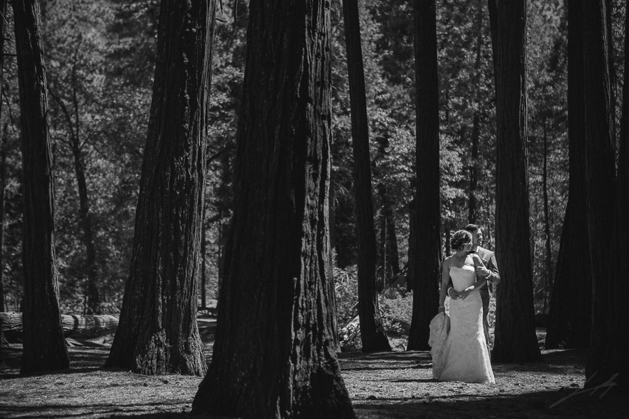 Yosemite National Park Wedding Photographer (10)