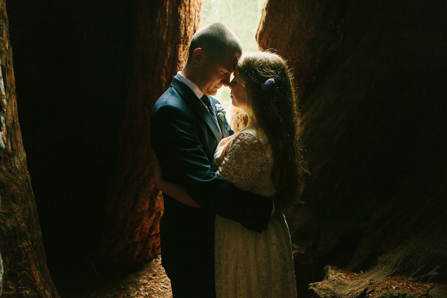 Wedding photo within a tree at Sequoia National Park