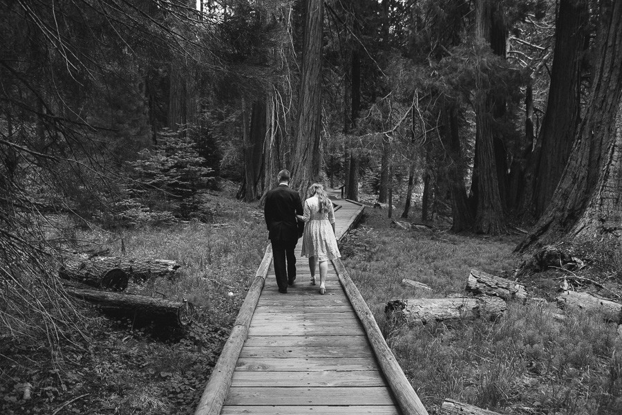 Sequoia National Park wedding photography